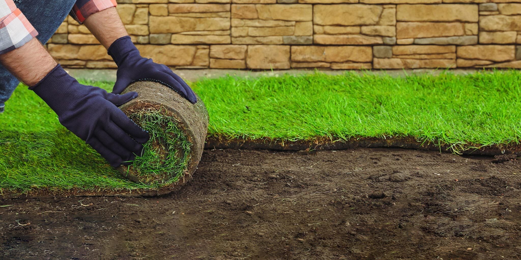 Fresh Turf From Our Farm